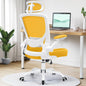 Ergonomic Mesh Office Chair with Lumbar Support and Headrest - Adjustable Height, Flip-Up Arms, Swivel Task Chair for Gaming and Office - BuzzMart